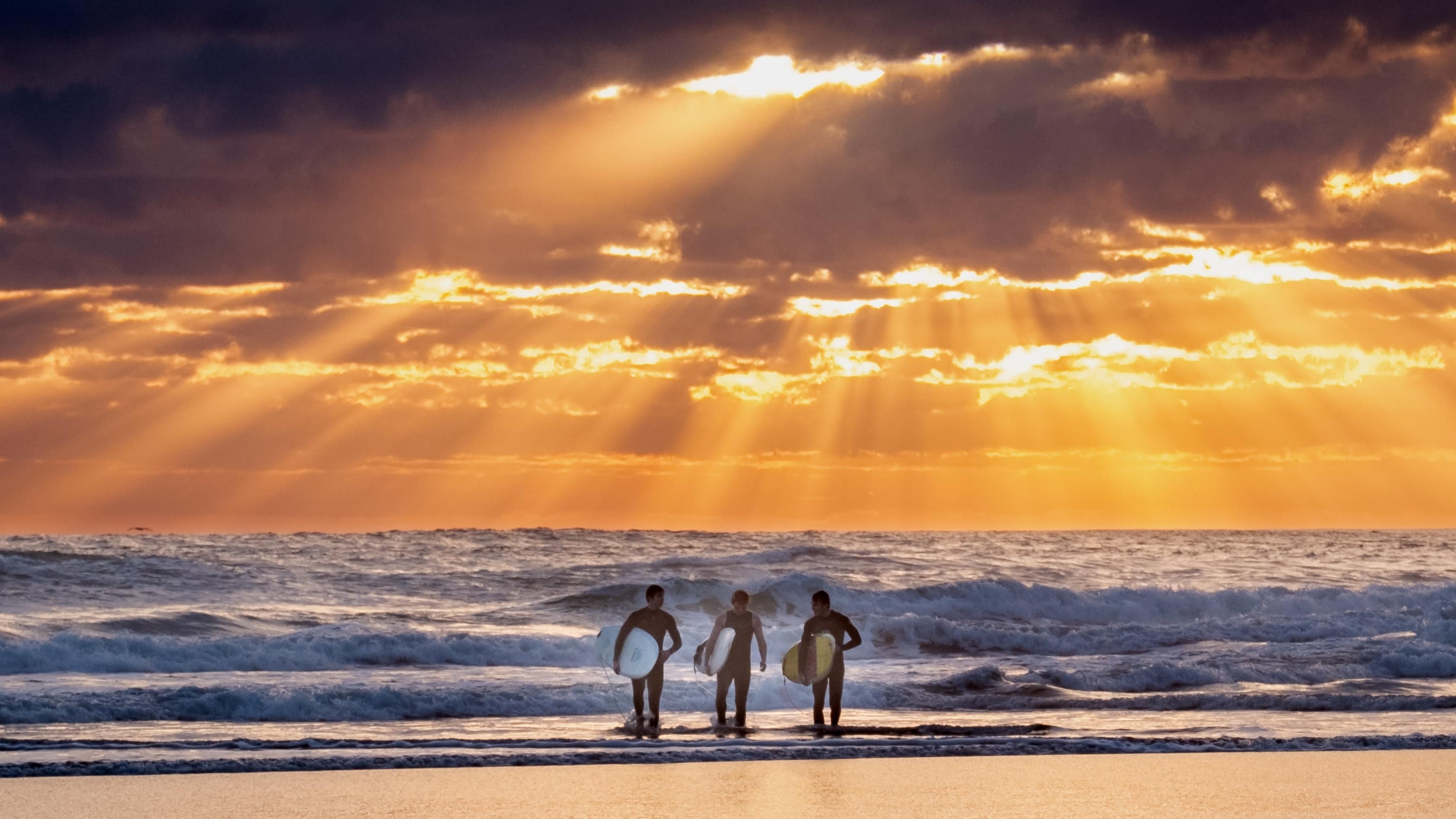 Enjoy a seaside trip with family or friends to West Auckland beaches