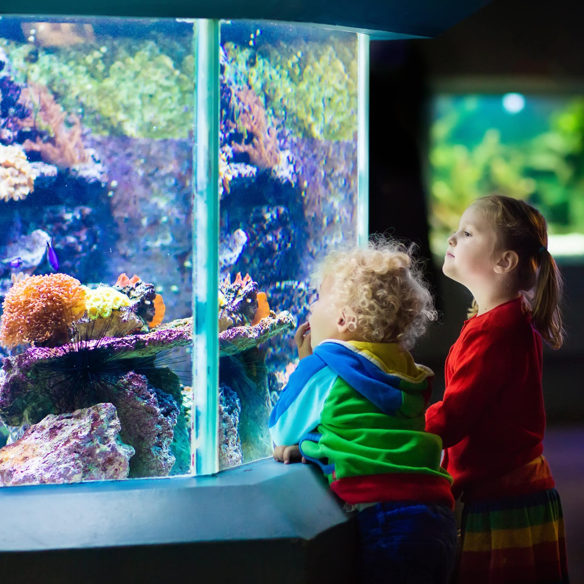 Children looking at coral reef in an aquarium