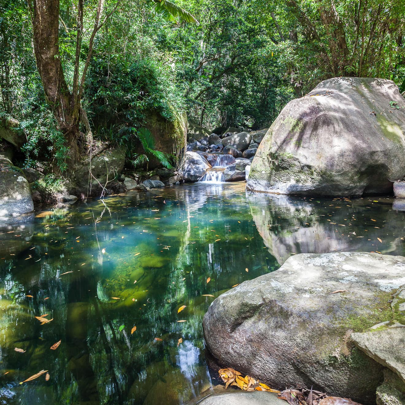 View of private swimming hole on Little Cooper Creek from veranda of 3-bedroom Cape Trib beach house