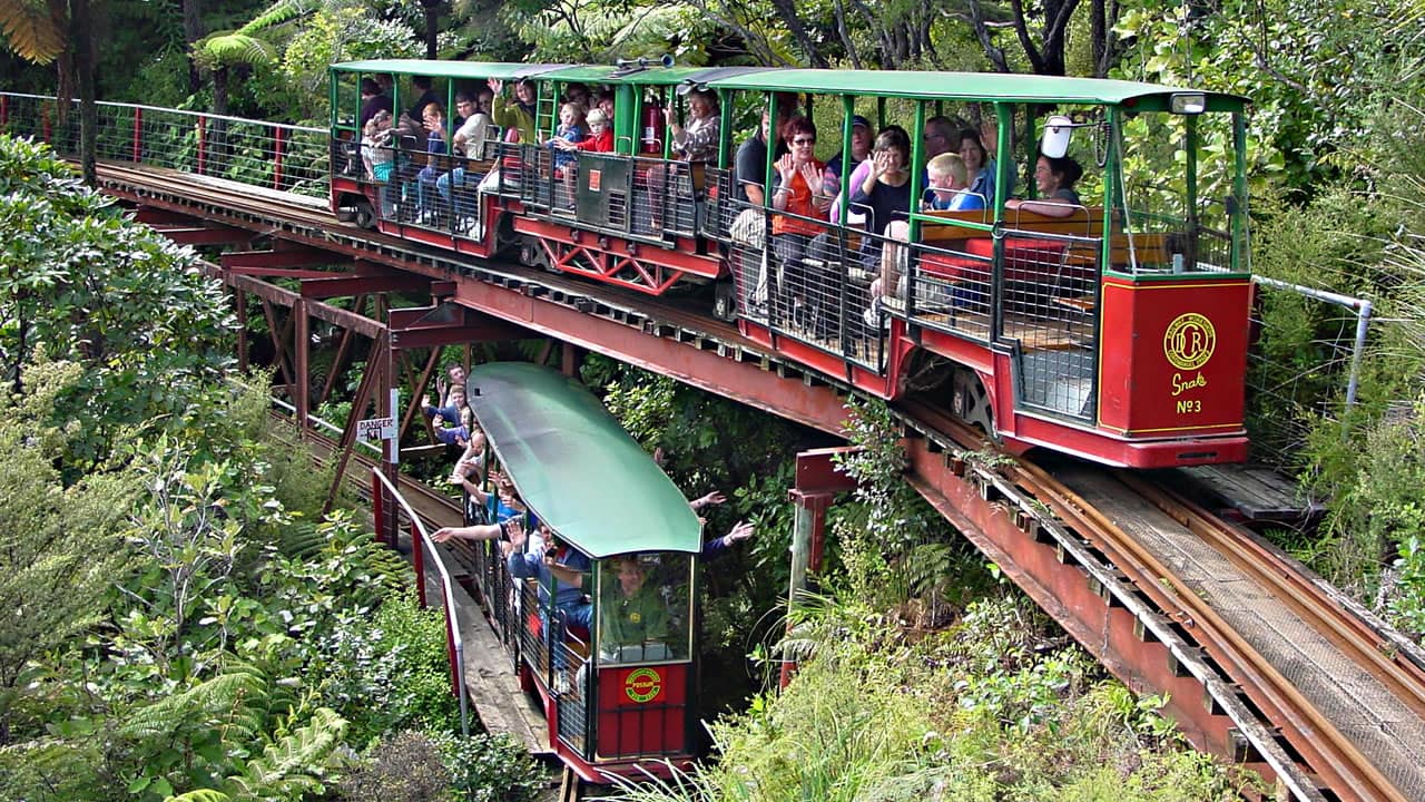 Driving Creek Railway