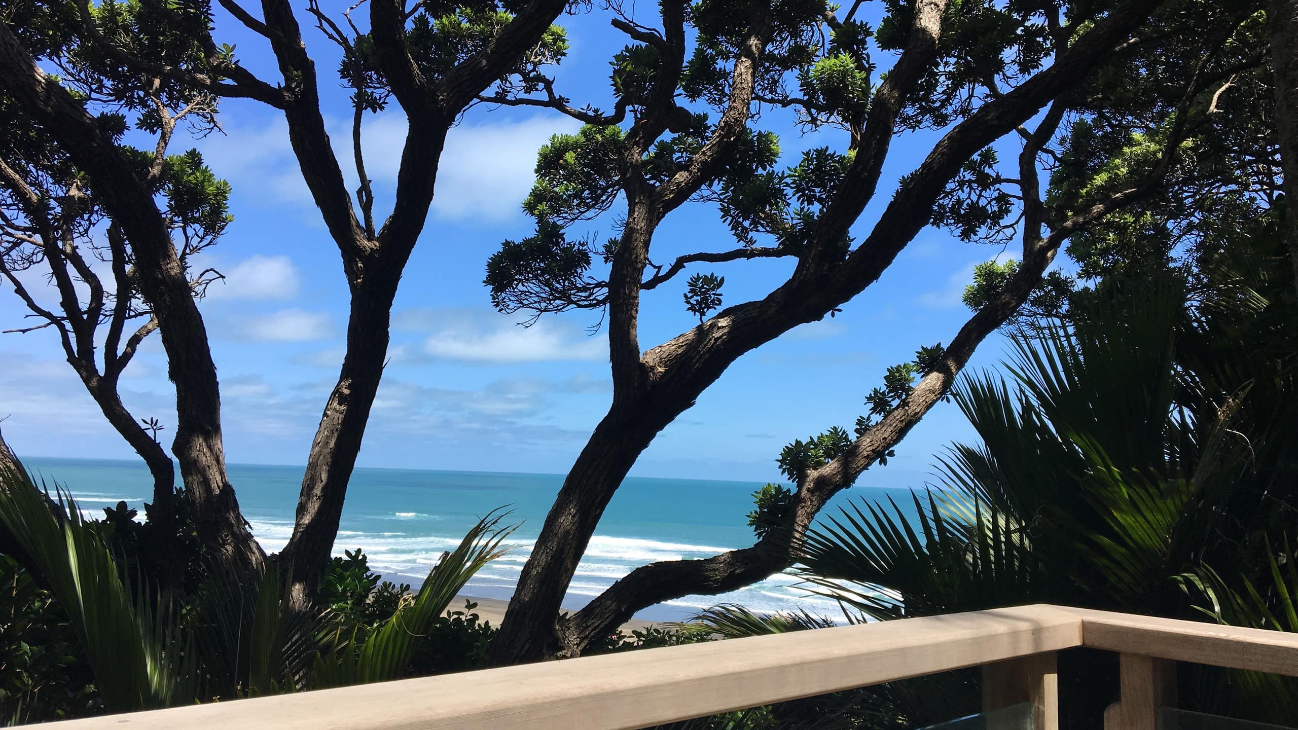 Get inspired for your holiday with Bethells Beach accommodation