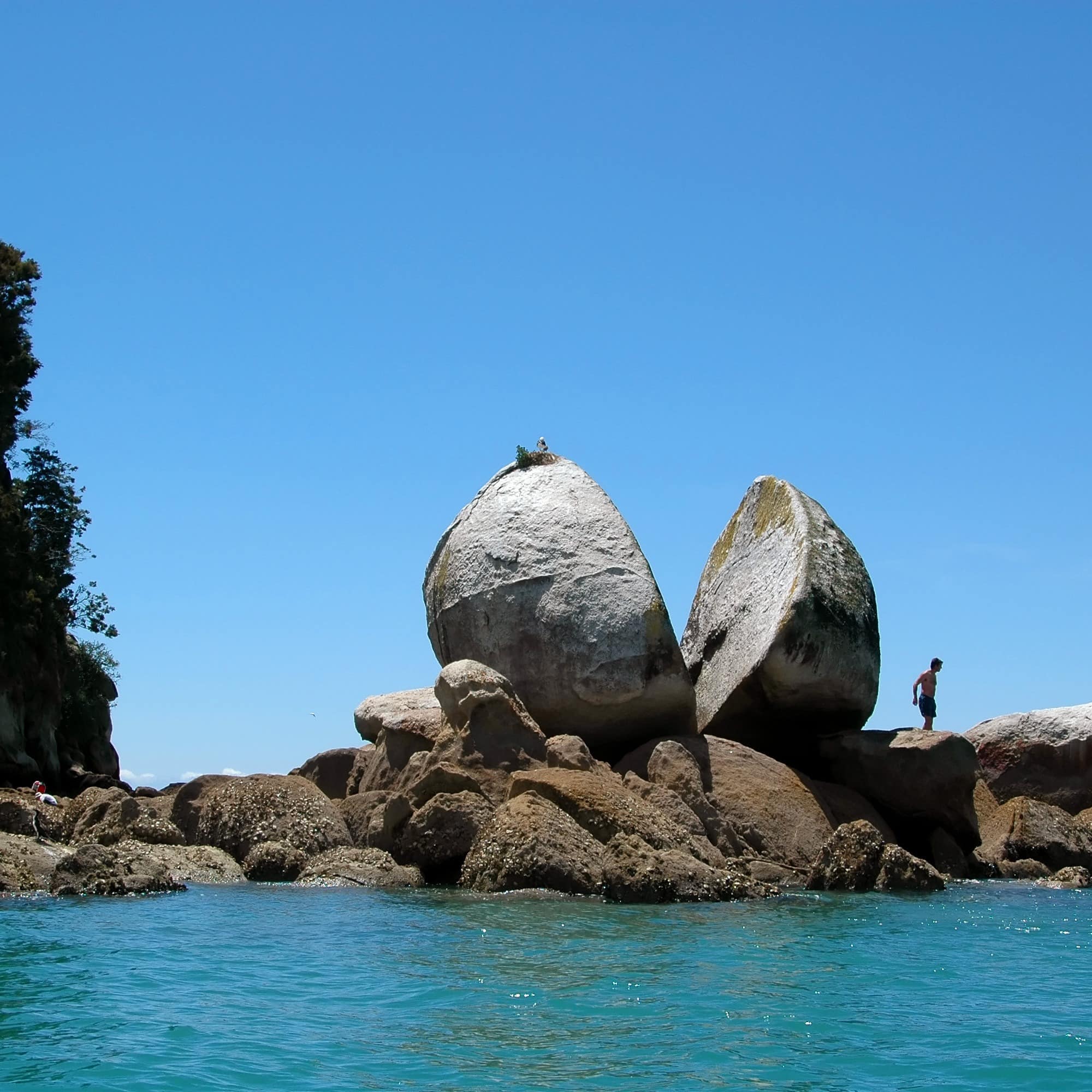 Split apple rock on the Tasman Sea in New Zealand