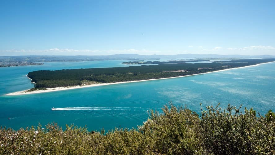 Explore ideas and inspiration with Tauranga tourism