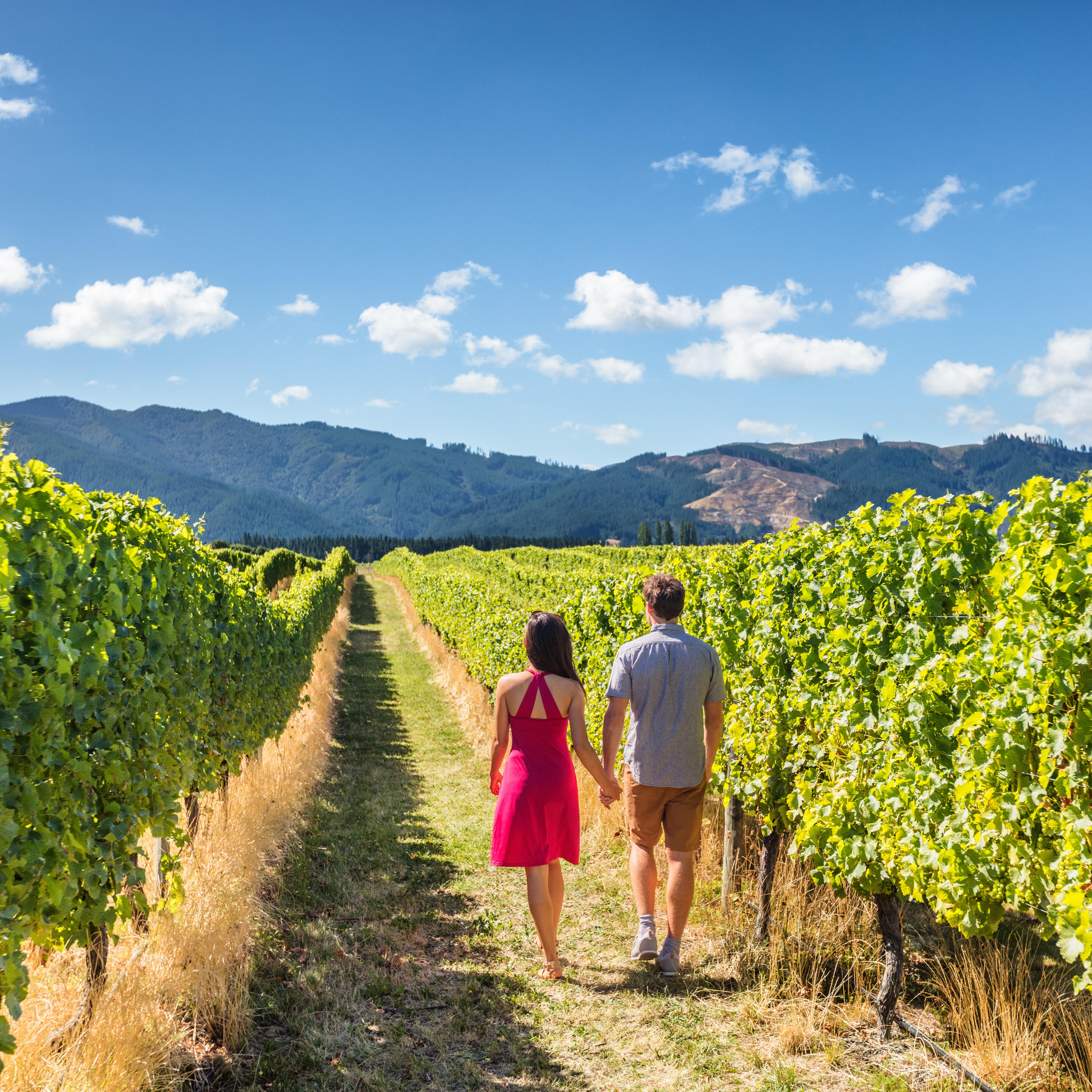 A couple walking hand in hand through a vineyard.