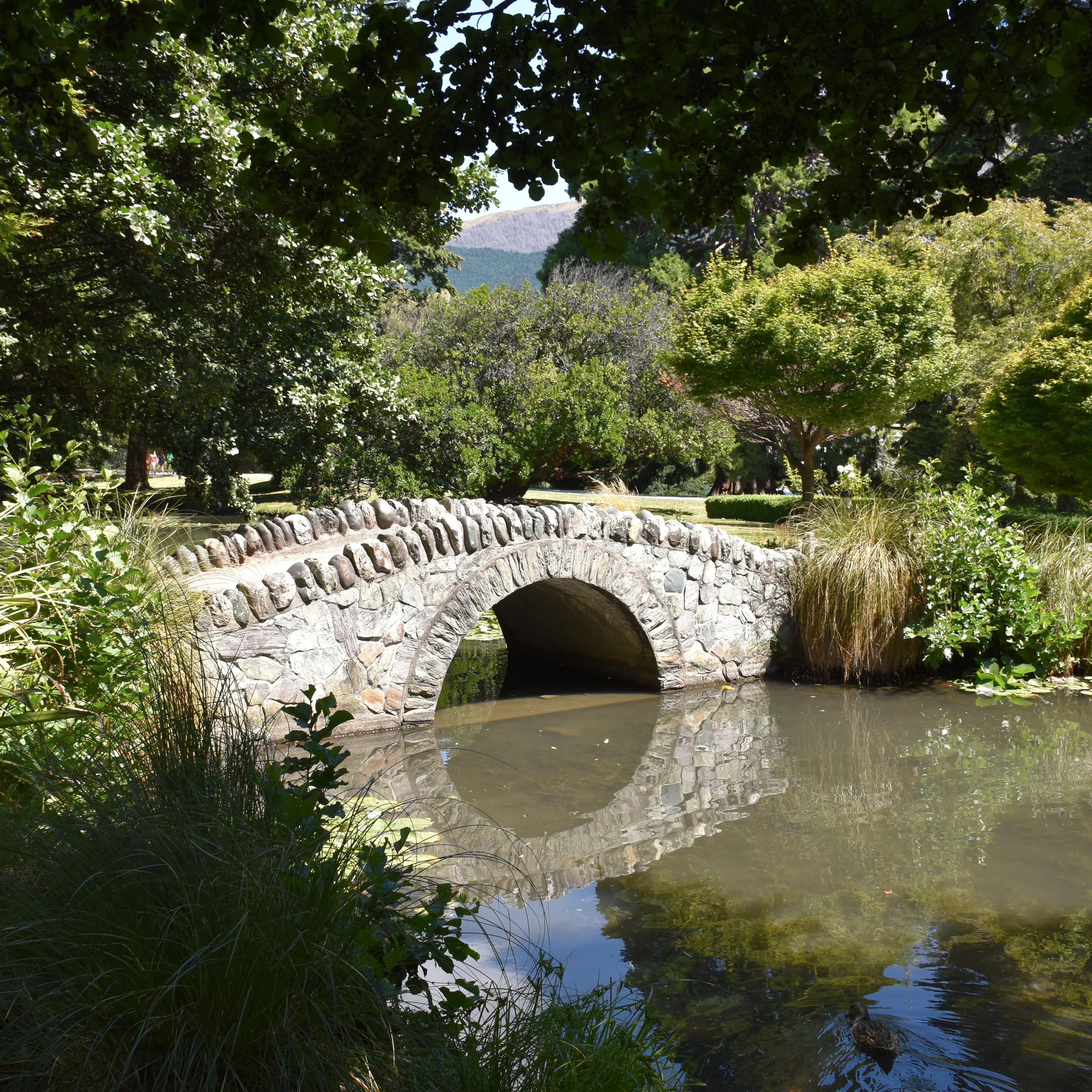 Bridge at Queenstown Gardens