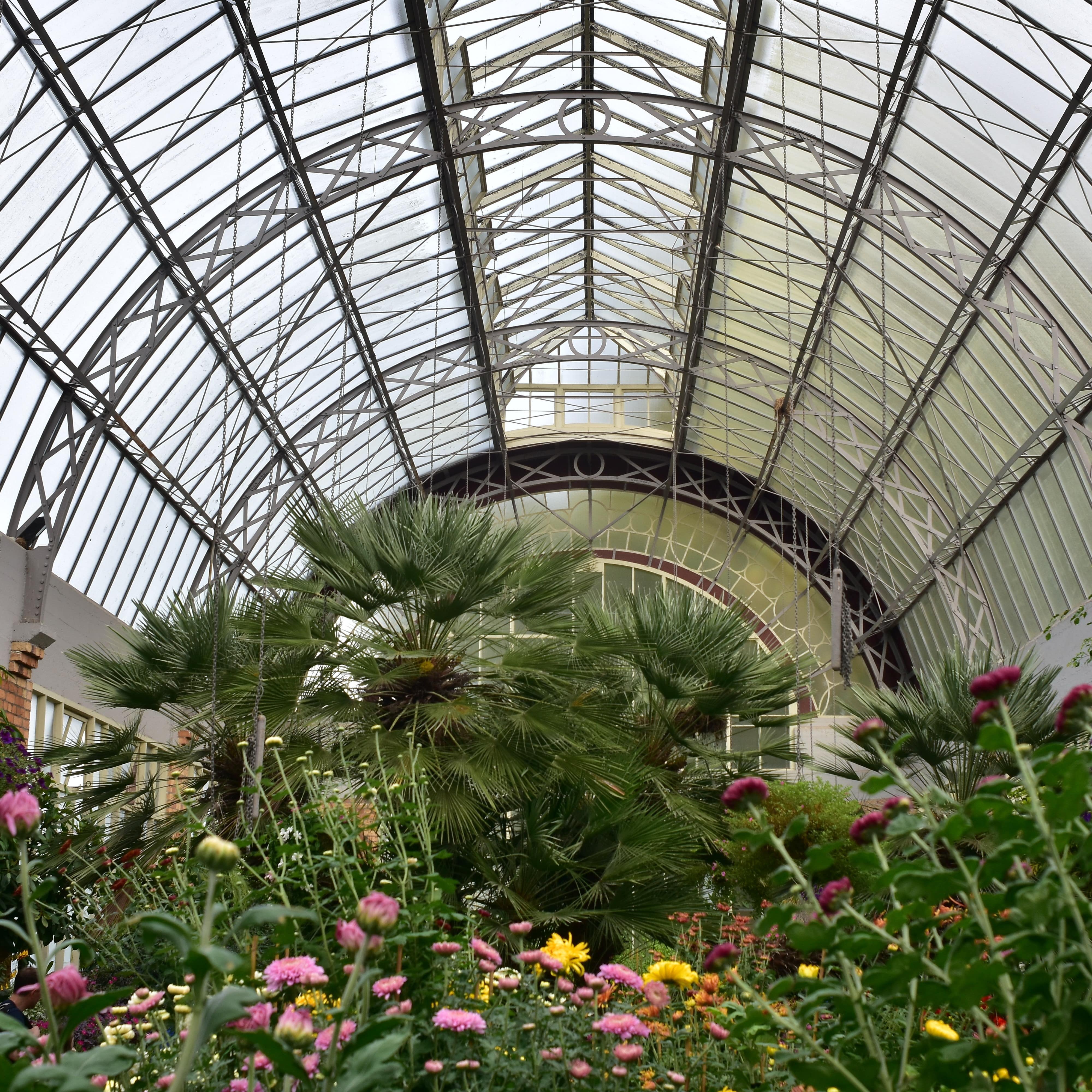 Horizontal view of large vintage greenhouse in Auckland Domain Wintergardens