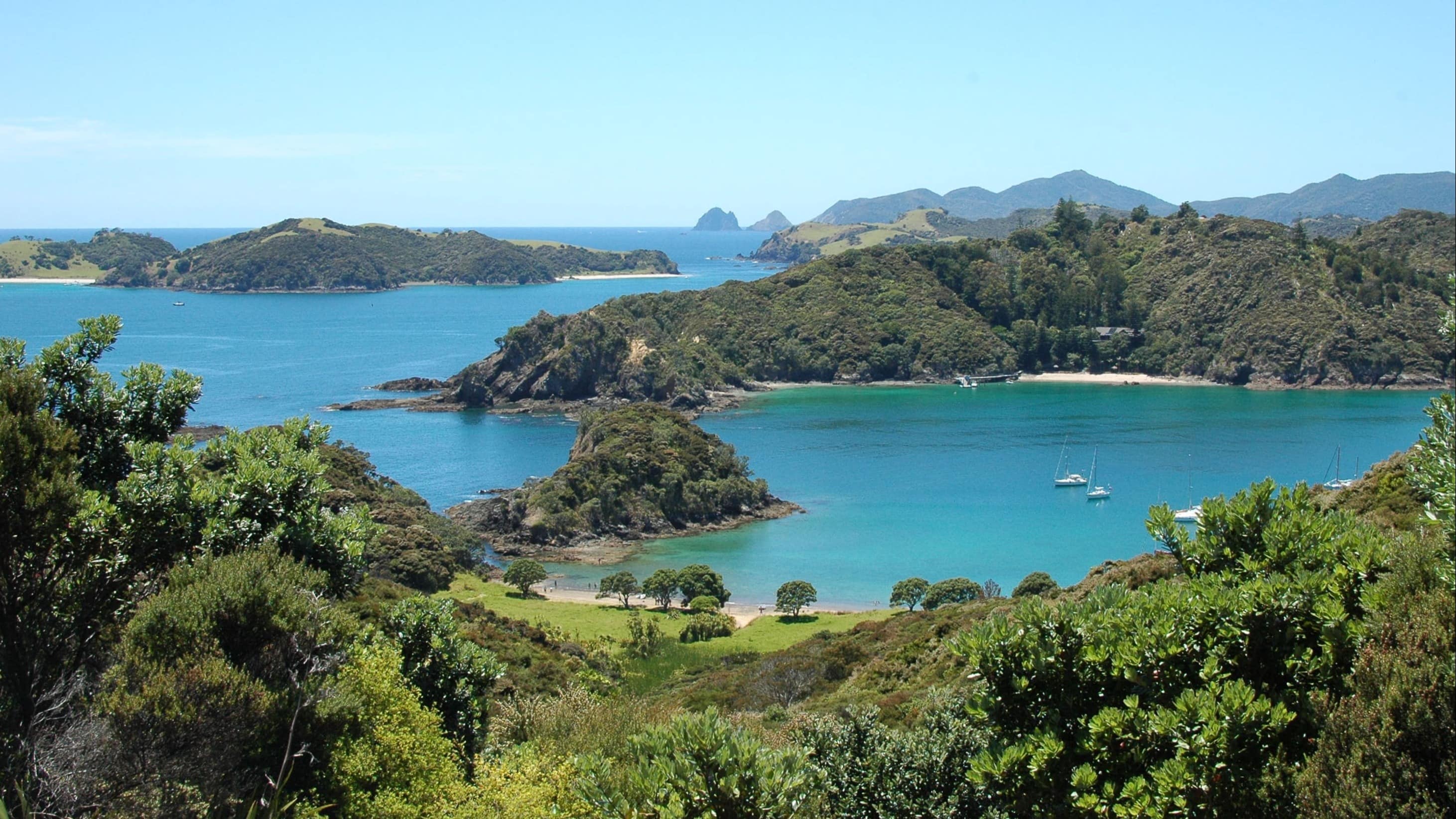 Explore the best beaches in Bay of Islands
