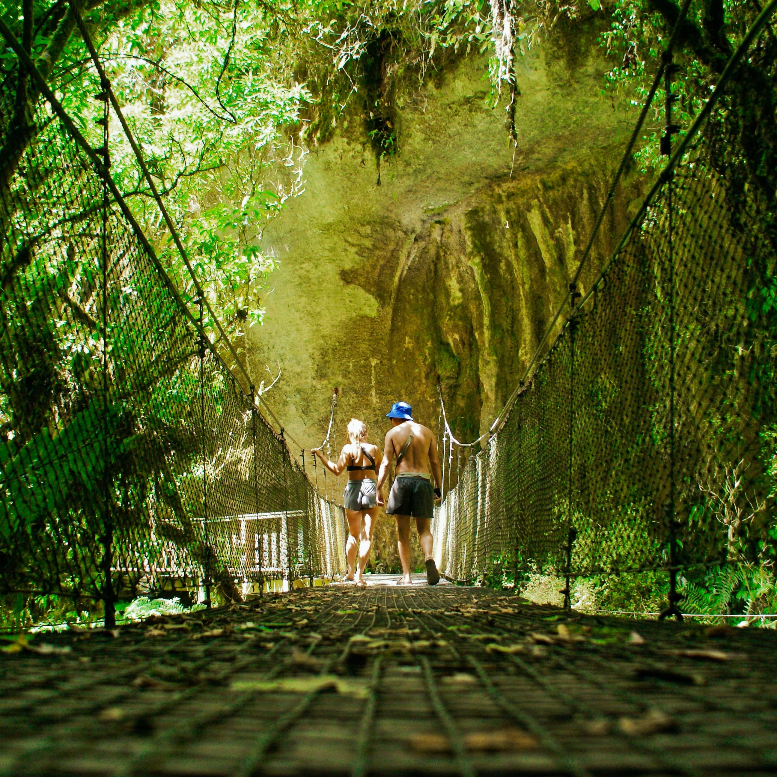Couple walking on a wooden bridge through the rainforest