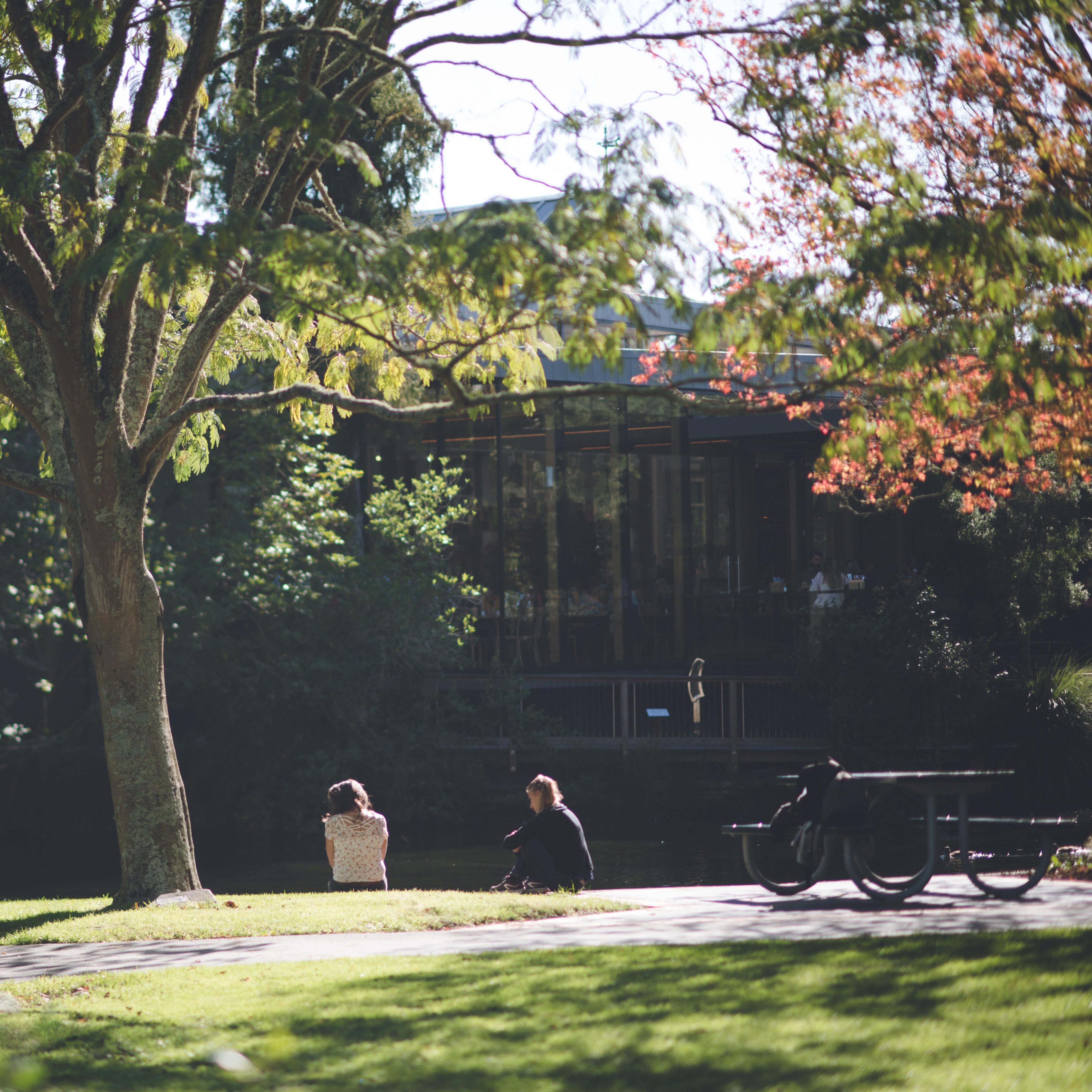 Two people resting under a tree at Queens Gardens