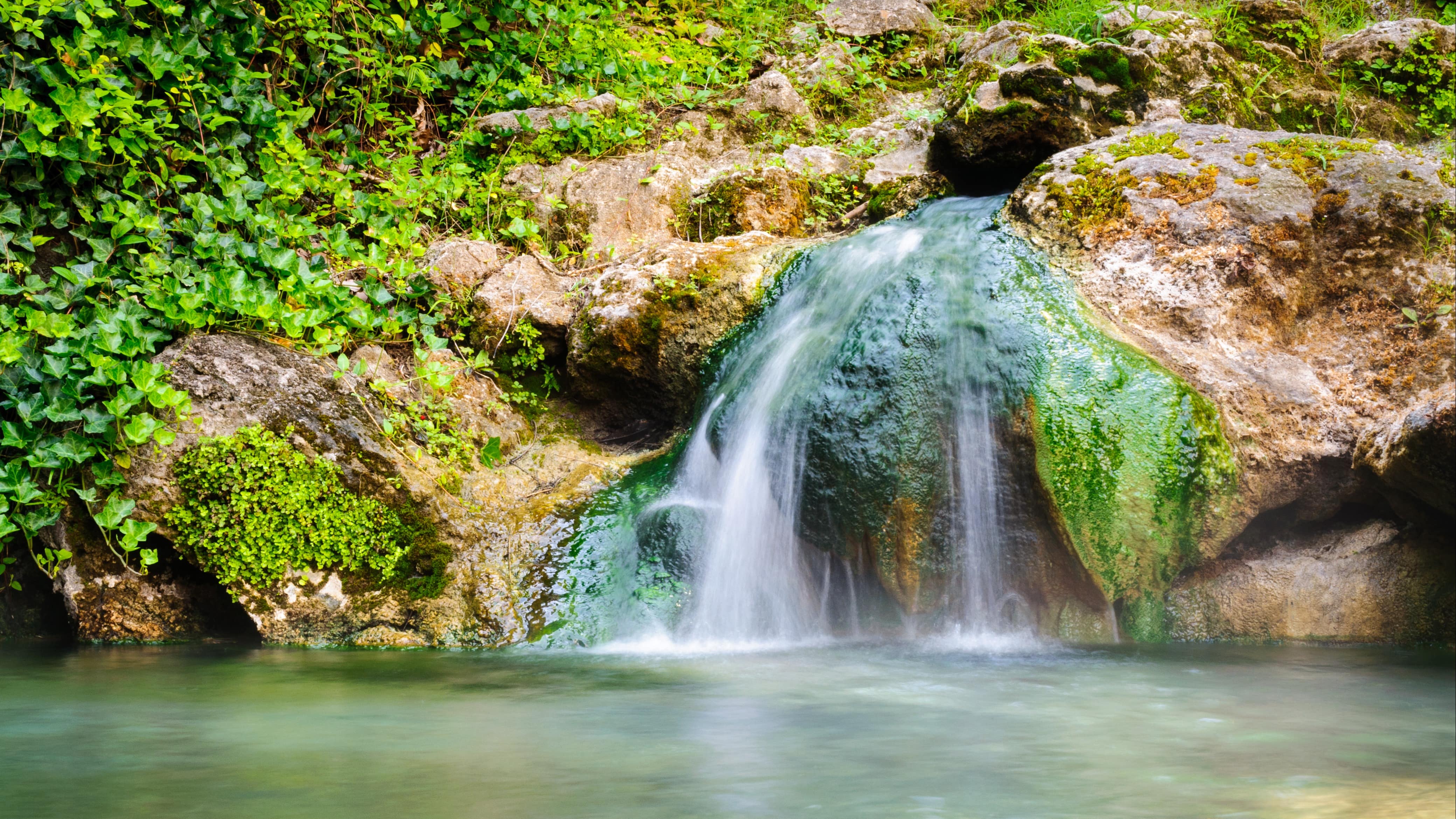 Explore hot pools in Auckland