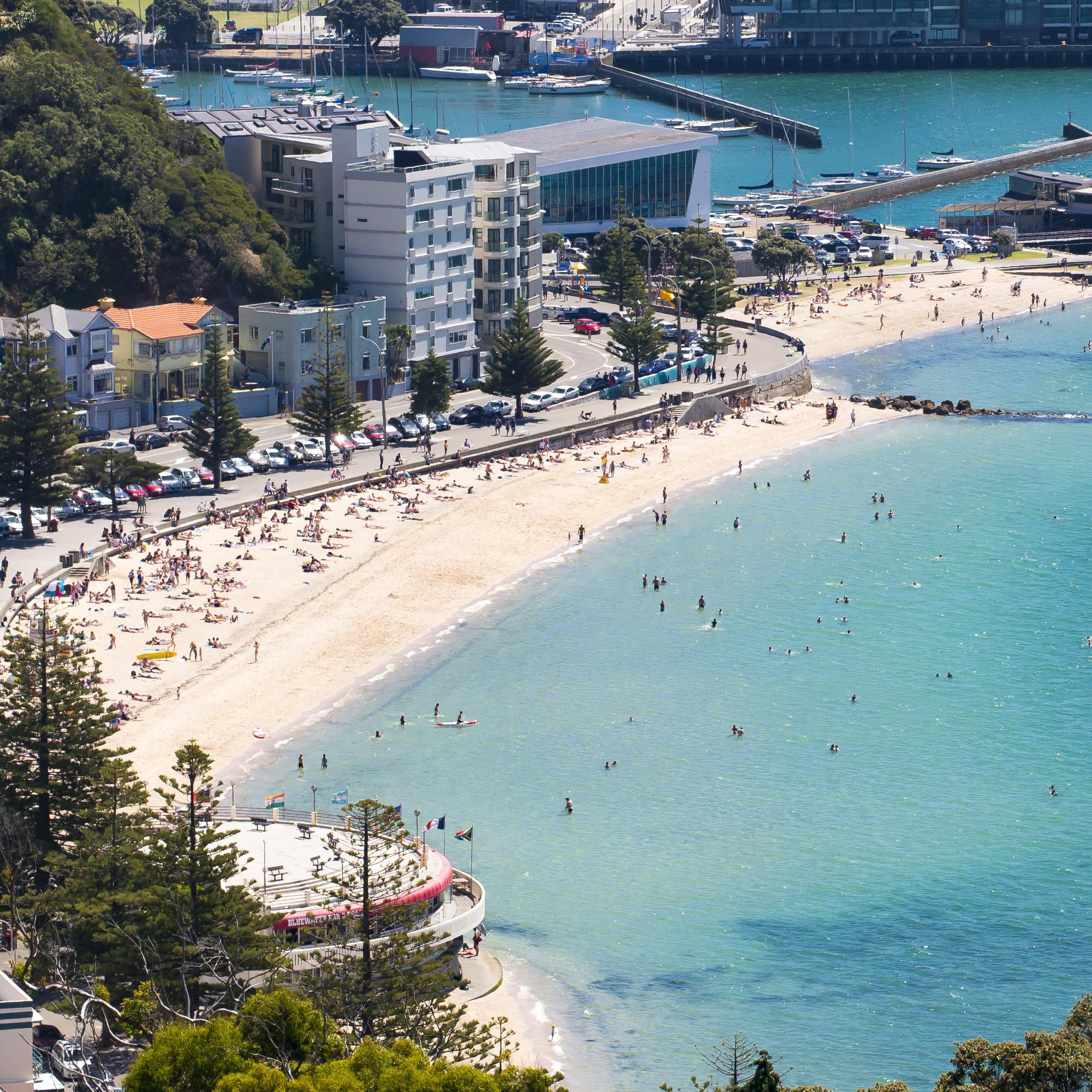 Wellington's Oriental Bay showing the beach in summer with people swimming and sunbathing