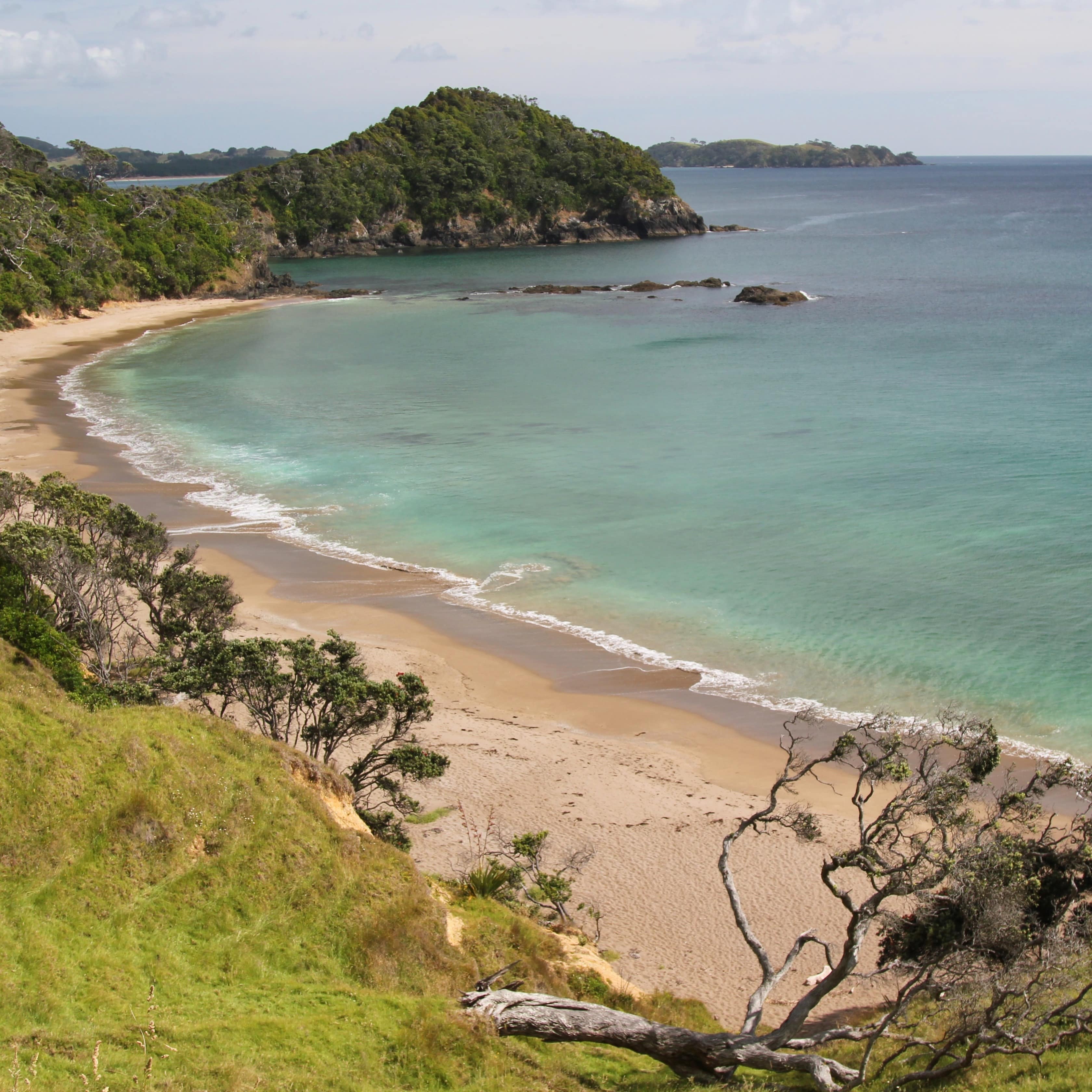 Green hills and trees at the shore of a beach with turquoise waters
