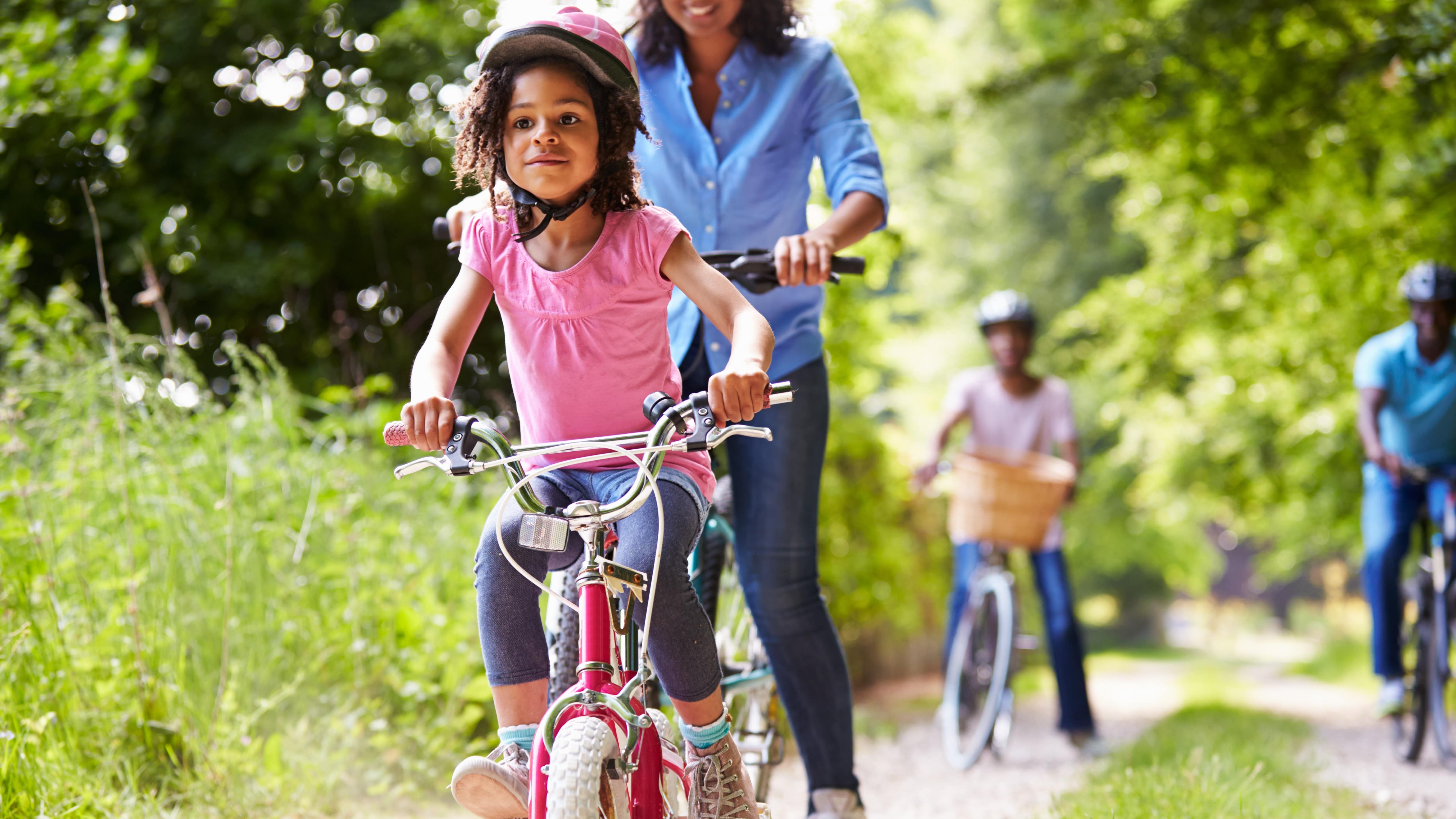 13 Activities in Dunedin for families with kids
