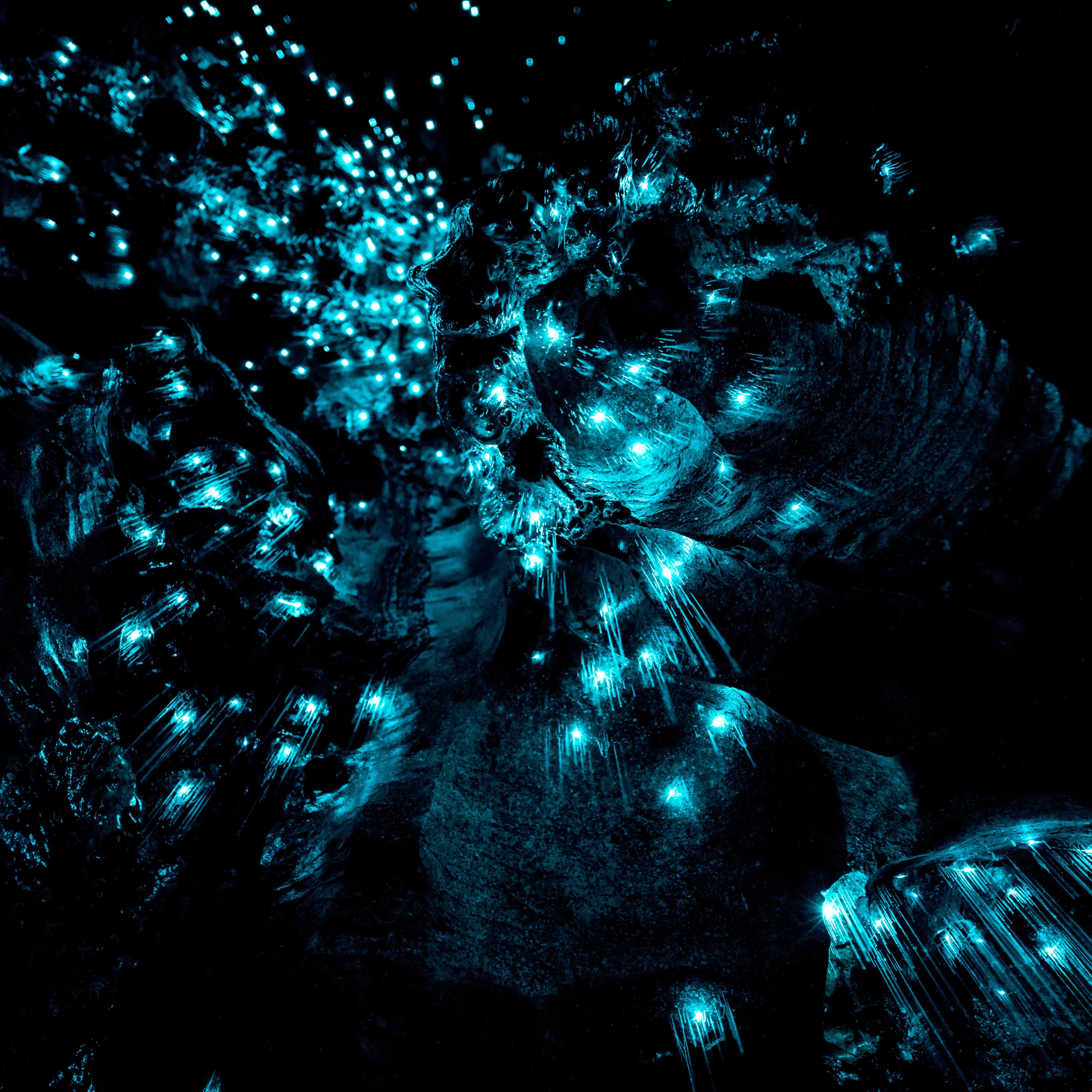 A glowworm cave.