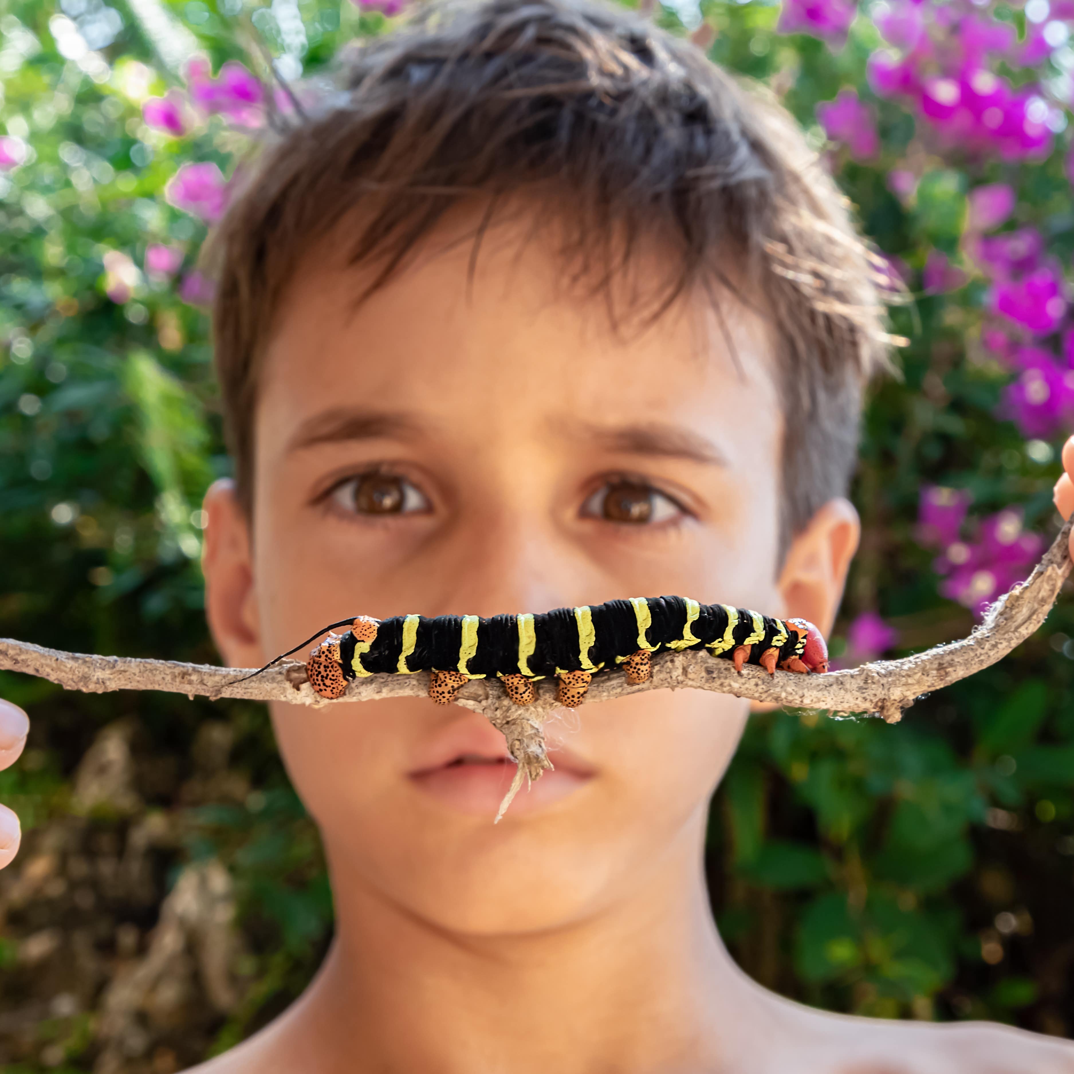A boy looking at a large caterpillar, focus on the insect, blurred background in a botanical garden