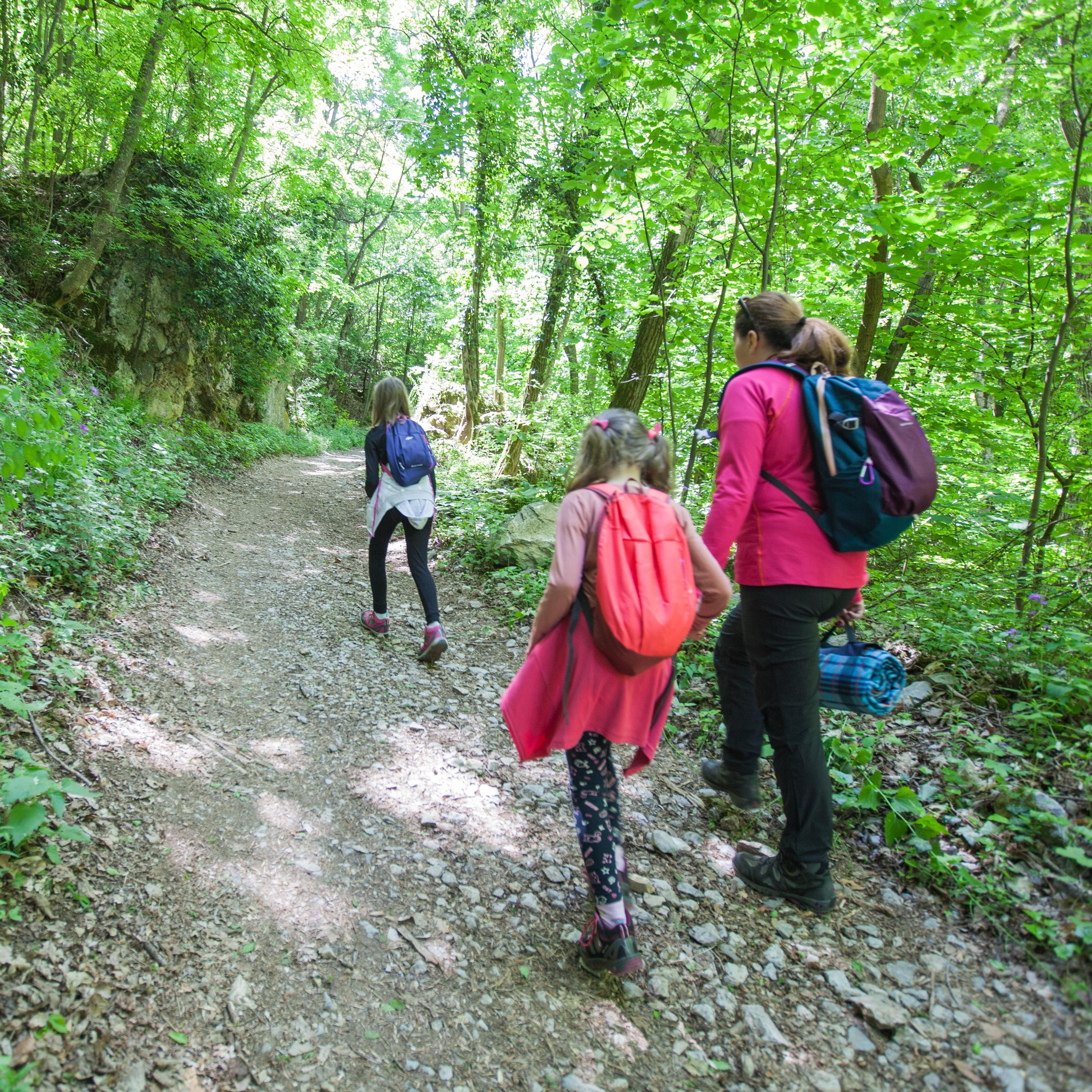 Mom and daughters hiking through the forest