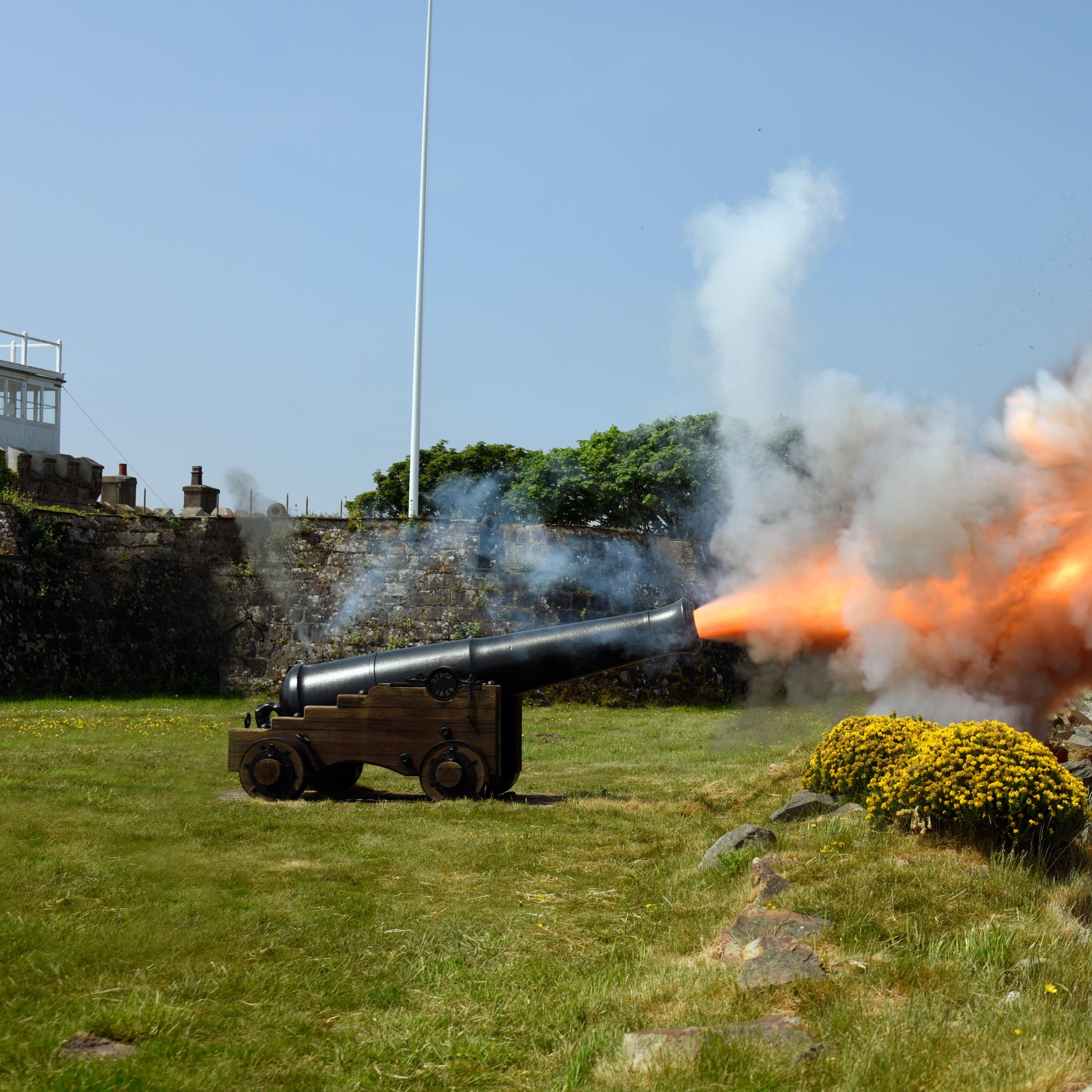 Cannon firing demonstration
